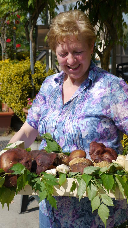 Albergo Ristorante Sterlina Grizzana 部屋 写真