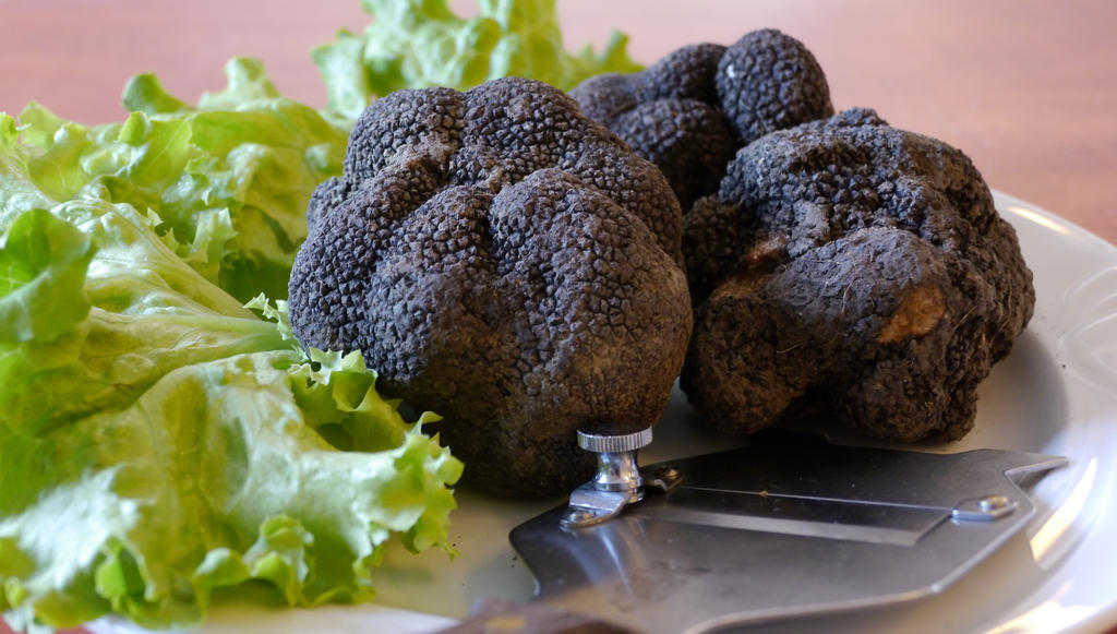 Albergo Ristorante Sterlina Grizzana 部屋 写真